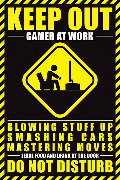 Pyramid International Gamers - Poster 61x91 - Gamer At Work