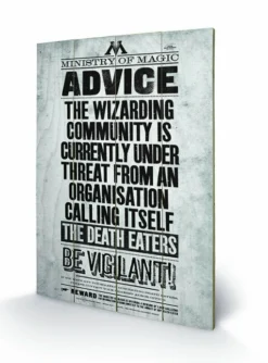 Pyramid International HARRY POTTER - Impression Sur Bois 40X59 - Be Vigilant