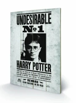 Pyramid International HARRY POTTER - Impression Sur Bois 40X59 - Undesirable N° 1