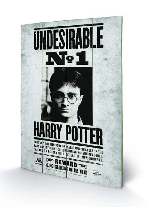 Pyramid International HARRY POTTER - Impression Sur Bois 40X59 - Undesirable N° 1 – Image 2