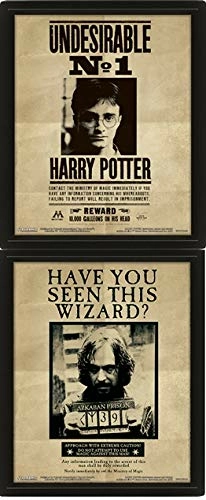 Pyramid International Harry Potter- Poster 3d Lenticulaire- Harry Potter & Sirius (20x25cm)