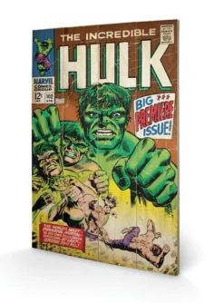Pyramid International MARVEL - Impression Sur Bois 40X59 - Hulk Big Issue